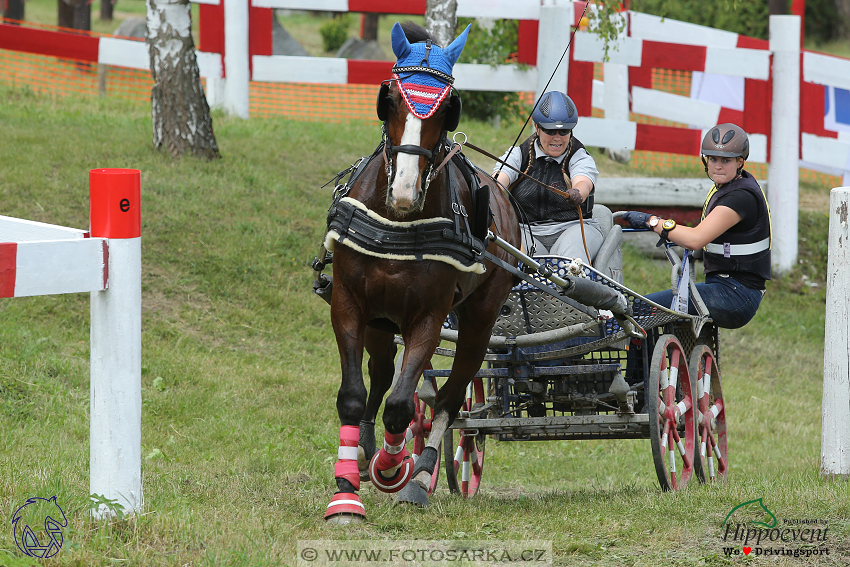 Altenfelden 2018 - maraton