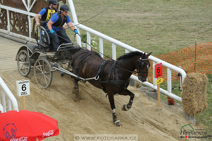 Altenfelden 2018 - maraton