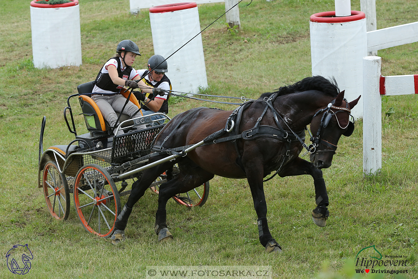 Altenfelden 2018 - maraton