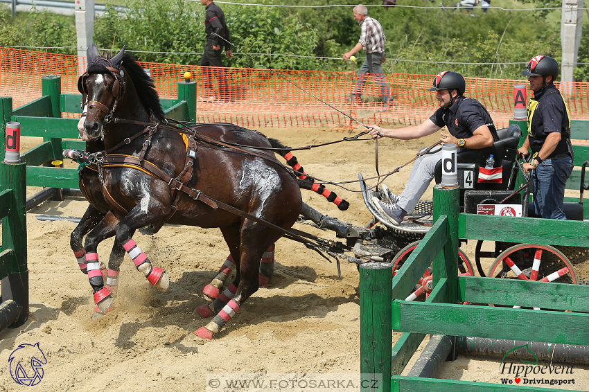 Altenfelden 2018 - maraton