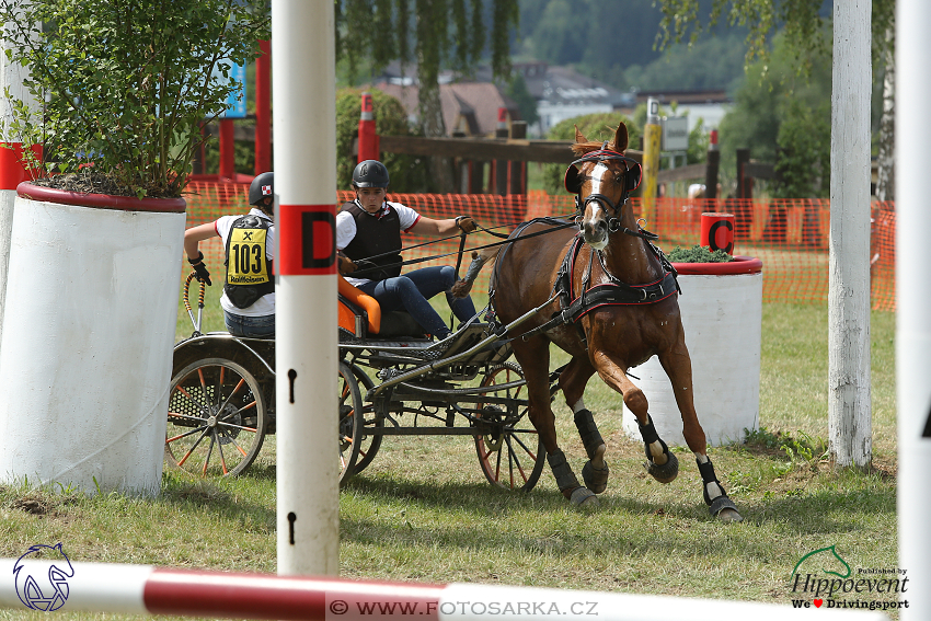 Altenfelden 2018 - maraton