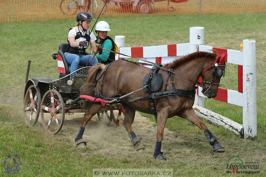 Altenfelden 2018 - maraton