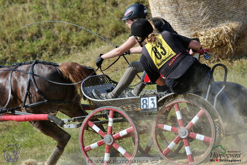 Altenfelden 2018 - maraton