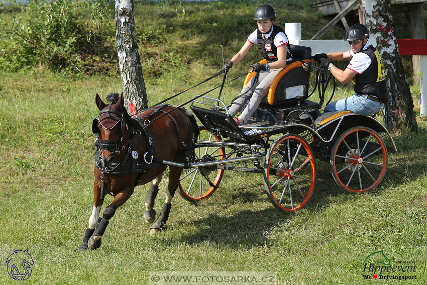 Altenfelden 2018 - maraton