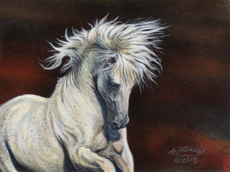 Bandolero - Pura Raza Espaňola