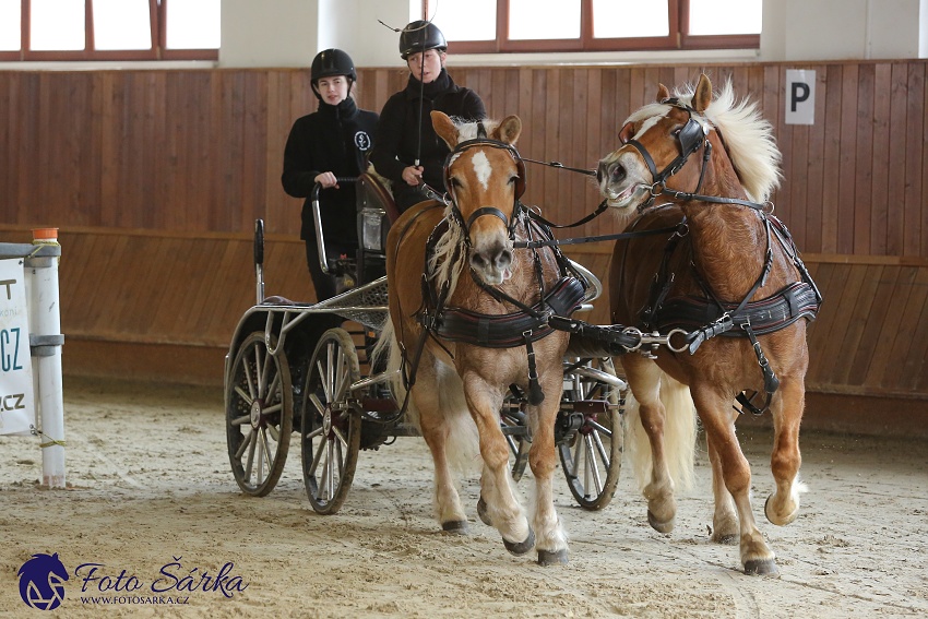 Brno 2019 - spřežení