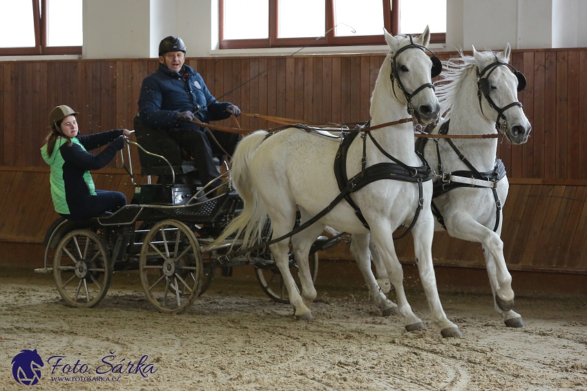 Brno 2019 - spřežení