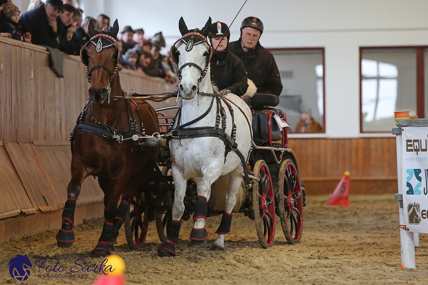 Brno 2019 - spřežení