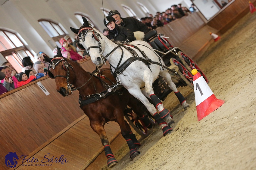 Brno 2019 - spřežení