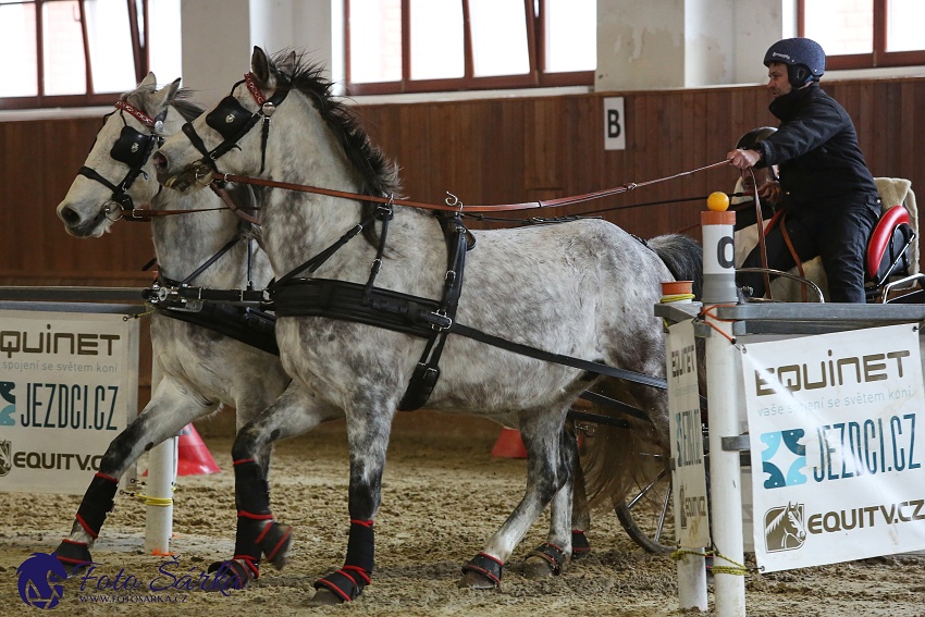 Brno 2019 - spřežení