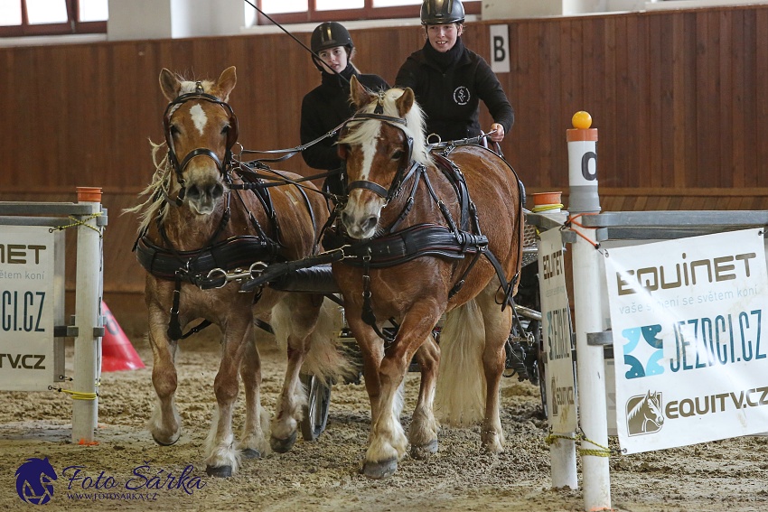 Brno 2019 - spřežení