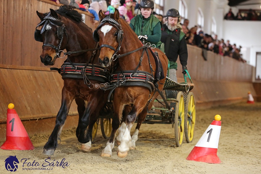 Brno 2019 - spřežení