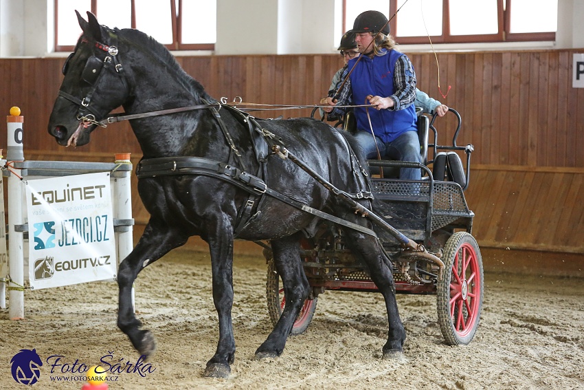 Brno 2019 - spřežení