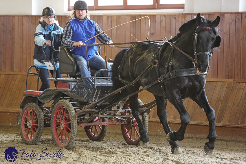 Brno 2019 - spřežení