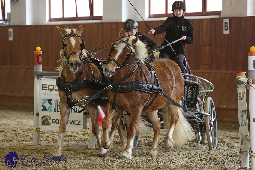 Brno 2019 - spřežení