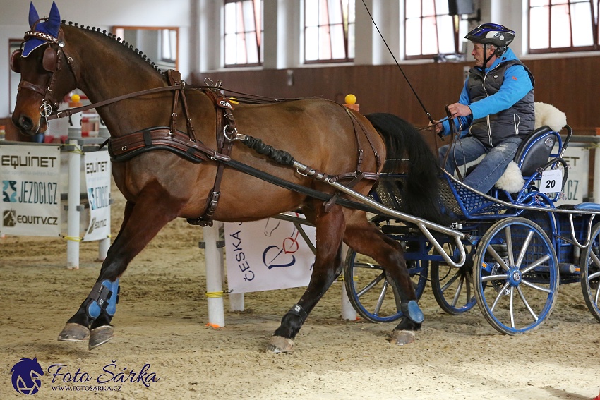 Brno 2019 - spřežení