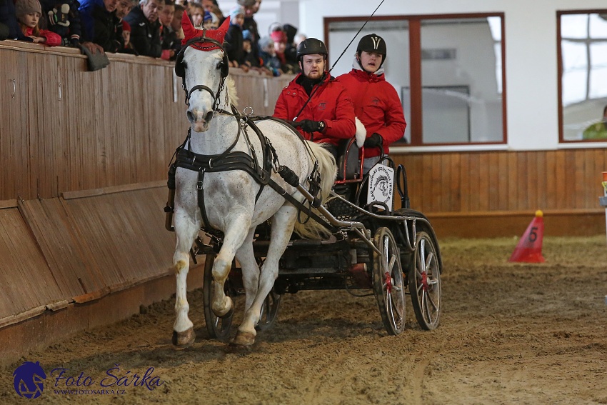 Brno 2019 - spřežení