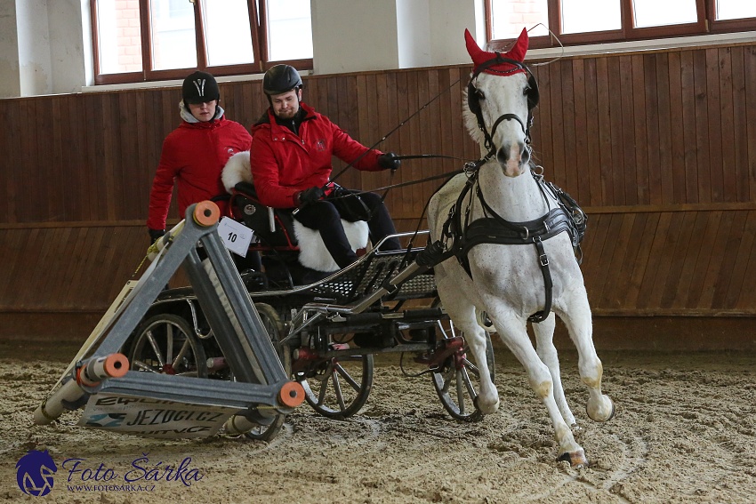 Brno 2019 - spřežení