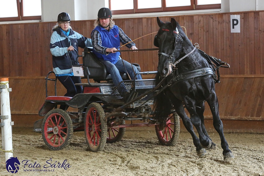 Brno 2019 - spřežení