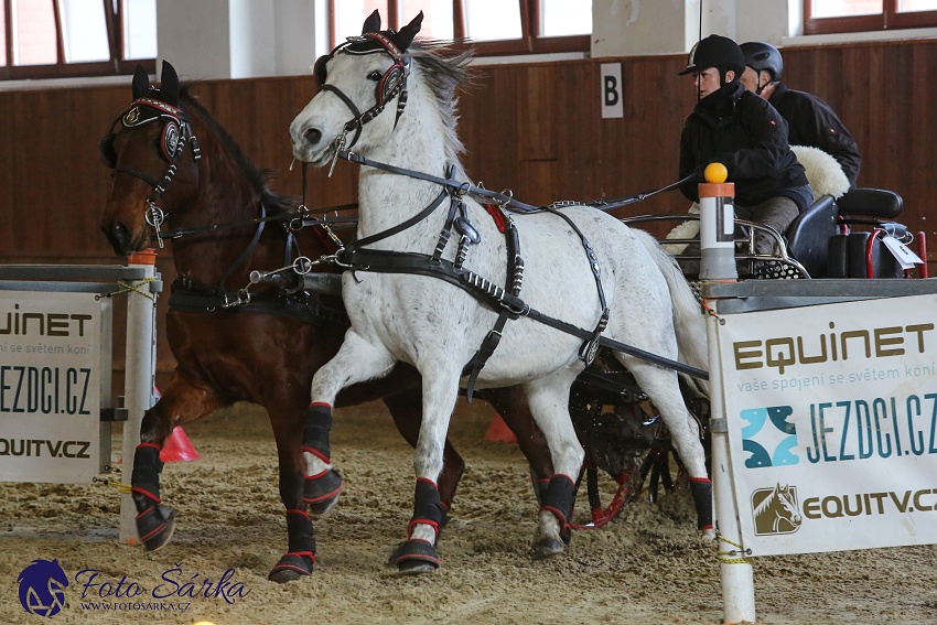 Brno 2019 - spřežení