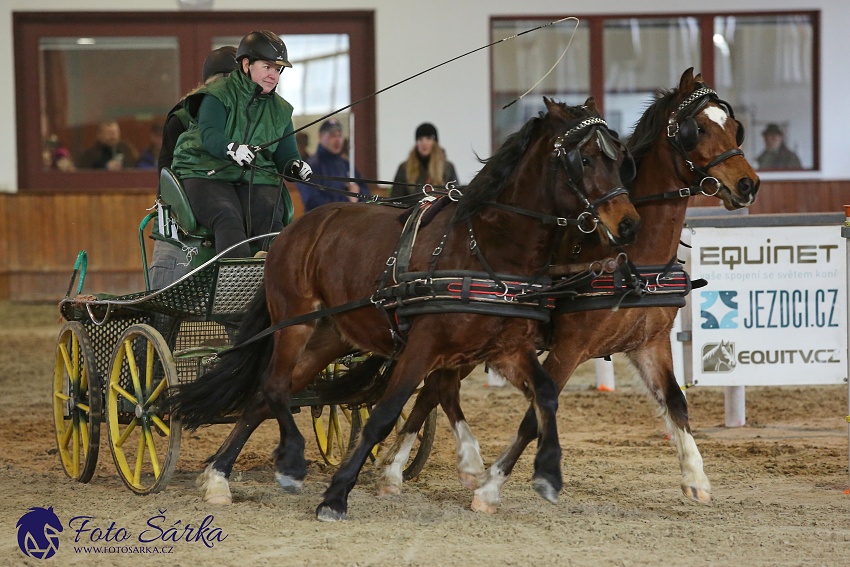 Brno 2019 - spřežení