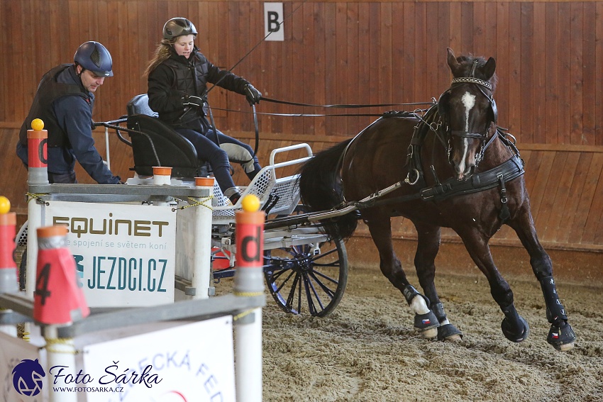 Brno 2019 - spřežení