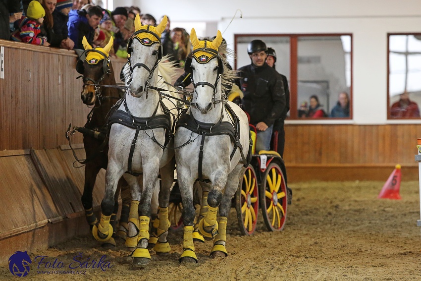 Brno 2019 - spřežení