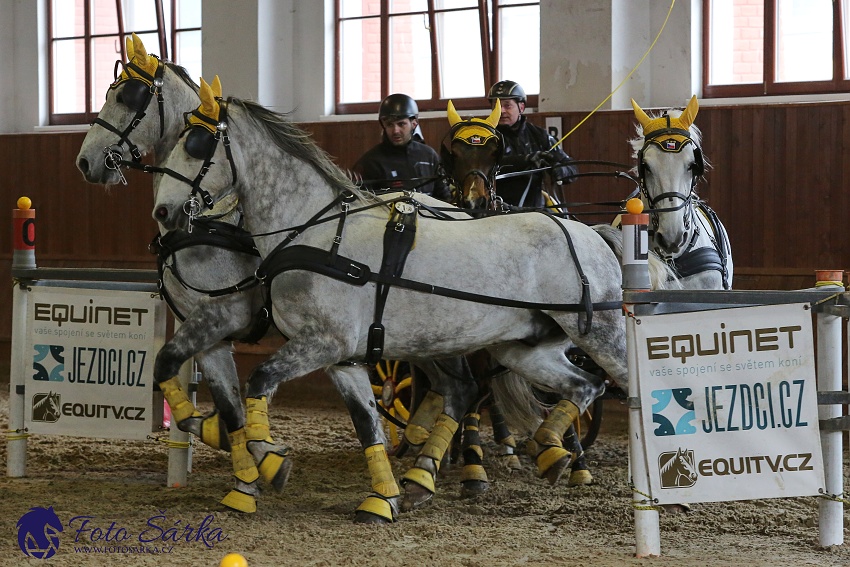 Brno 2019 - spřežení