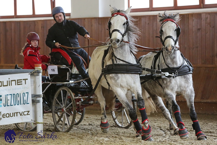 Brno 2019 - spřežení