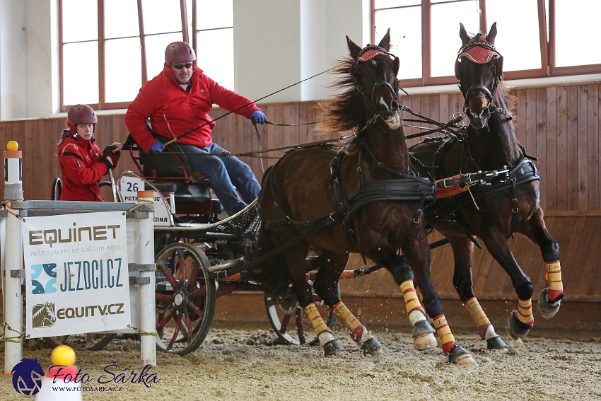 Brno 2019 - spřežení