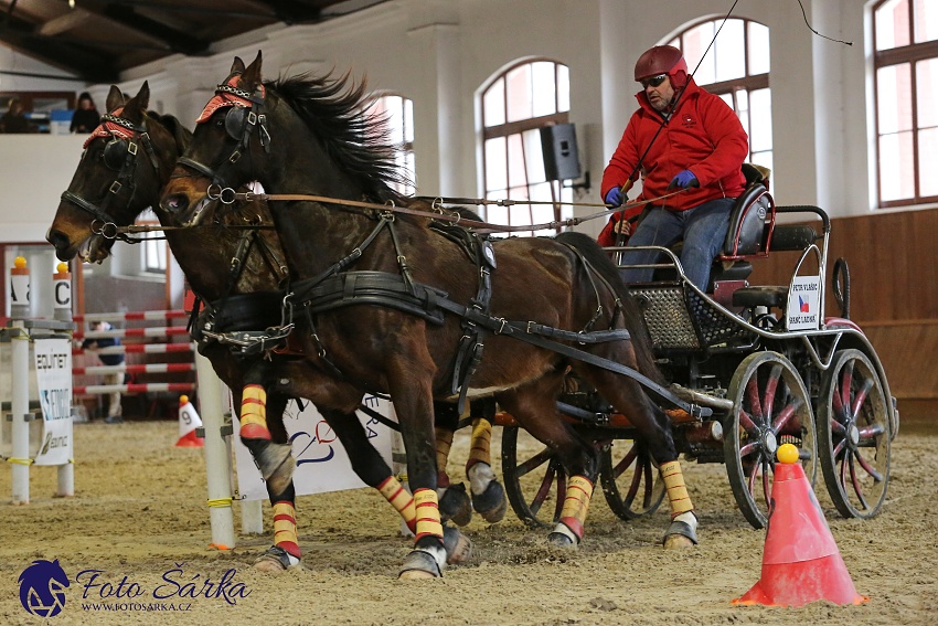 Brno 2019 - spřežení