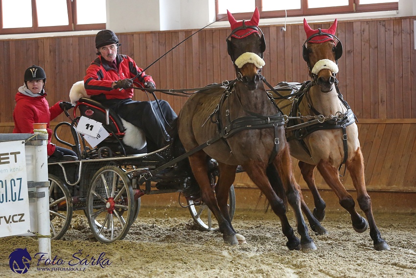 Brno 2019 - spřežení