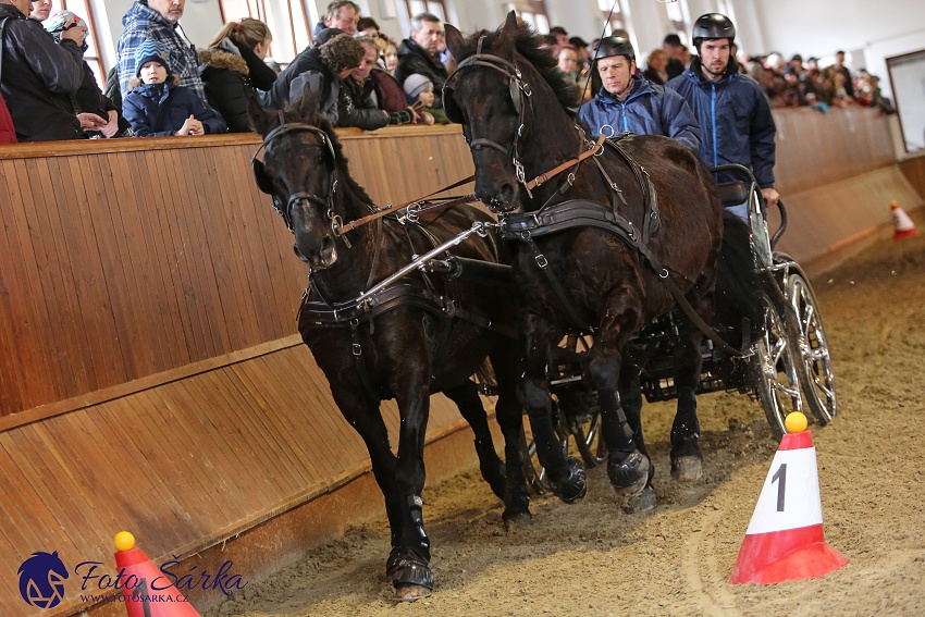 Brno 2019 - spřežení