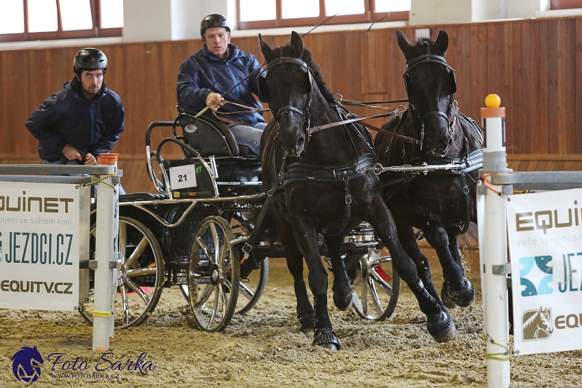 Brno 2019 - spřežení