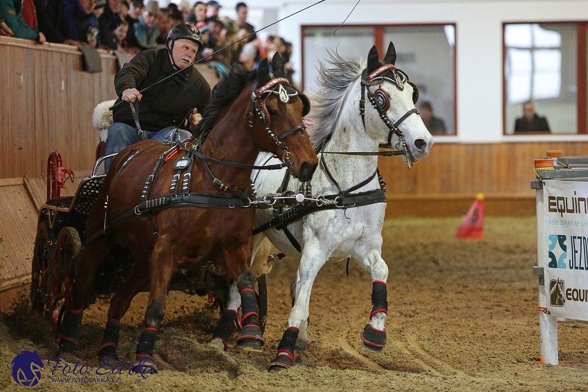 Brno 2019 - spřežení