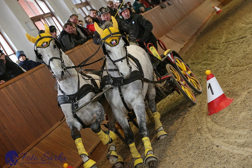 Brno 2019 - spřežení