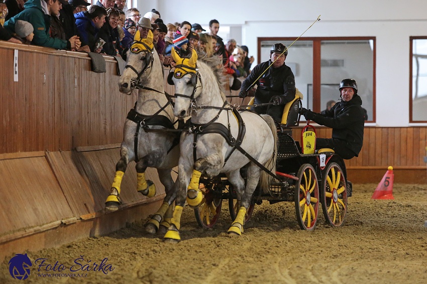 Brno 2019 - spřežení