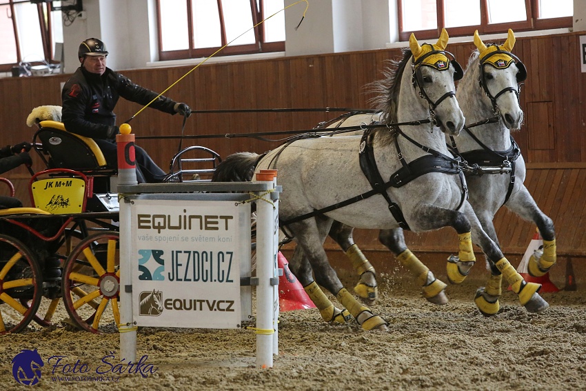 Brno 2019 - spřežení