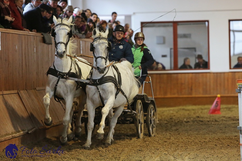 Brno 2019 - spřežení