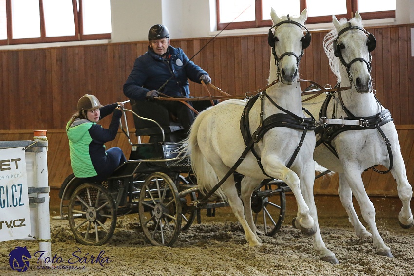 Brno 2019 - spřežení