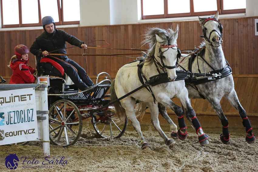 Brno 2019 - spřežení