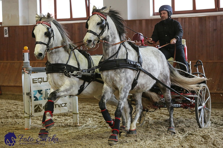 Brno 2019 - spřežení