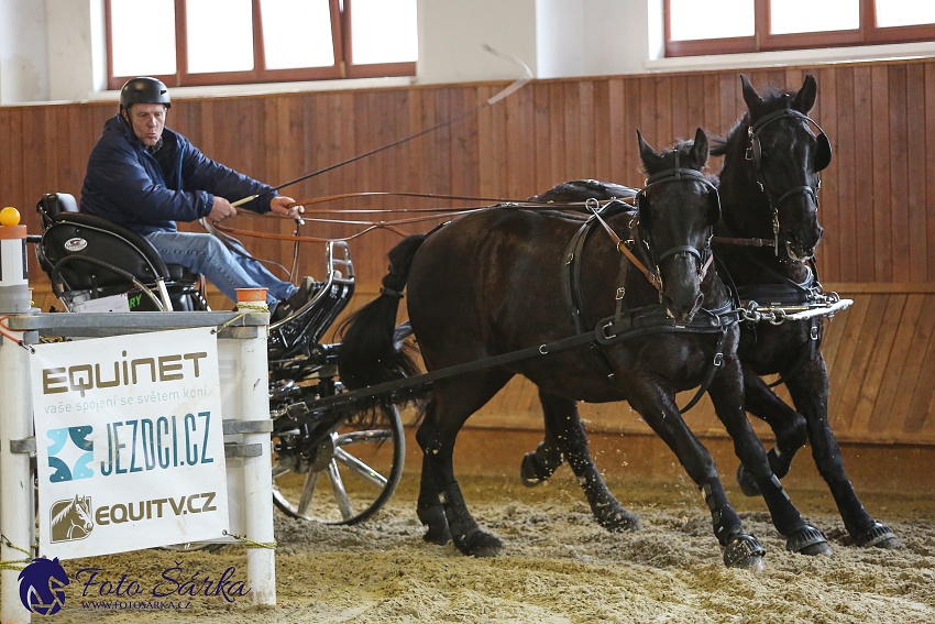 Brno 2019 - spřežení