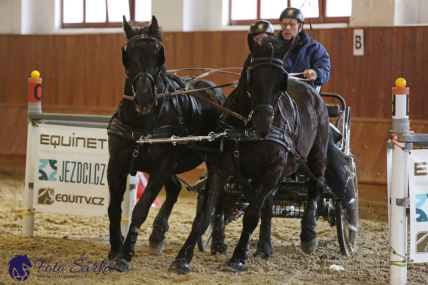 Brno 2019 - spřežení