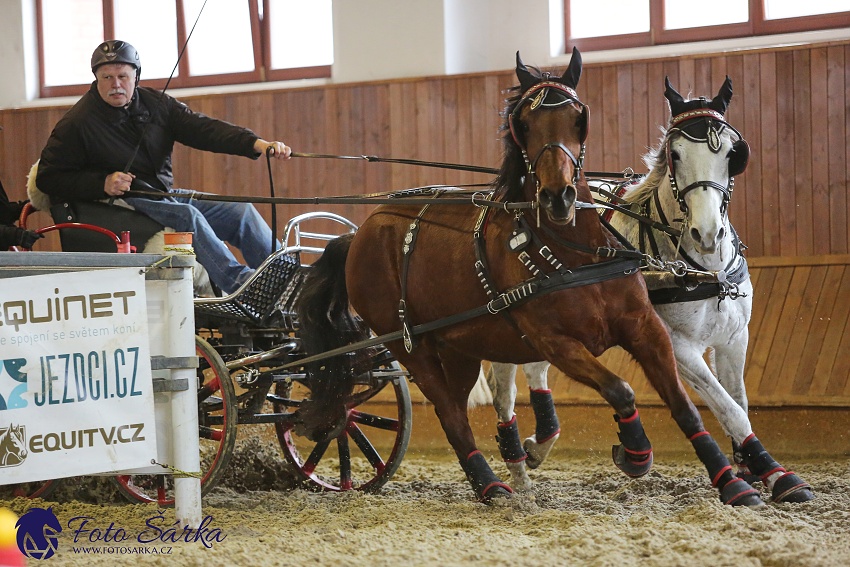 Brno 2019 - spřežení