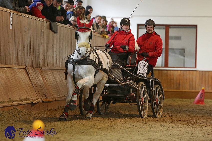 Brno 2019 - spřežení