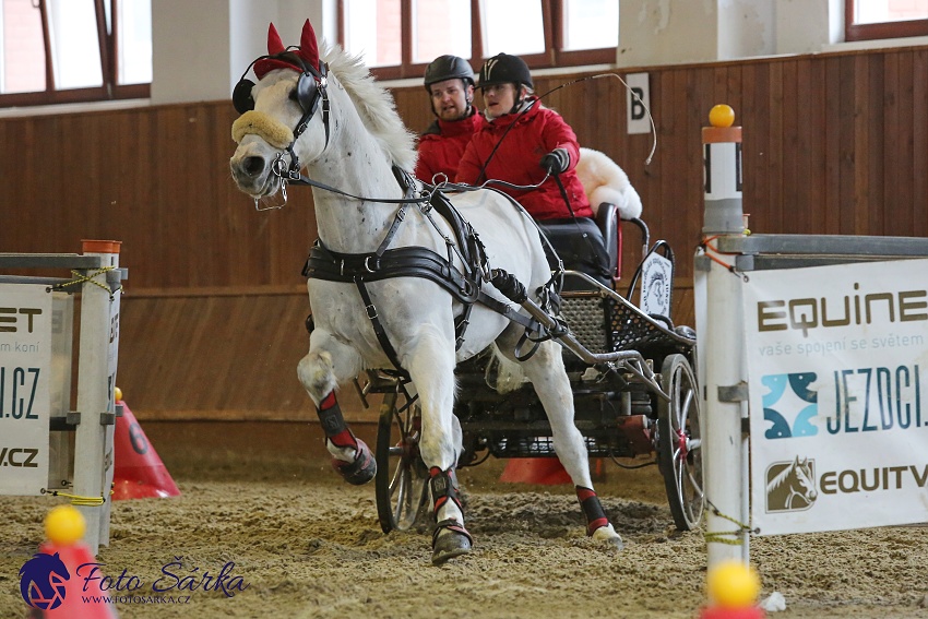 Brno 2019 - spřežení