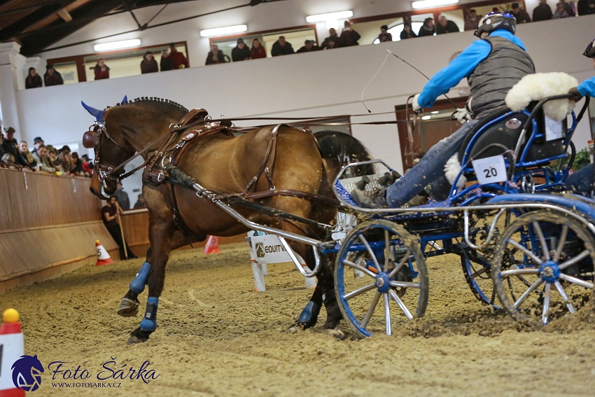 Brno 2019 - spřežení