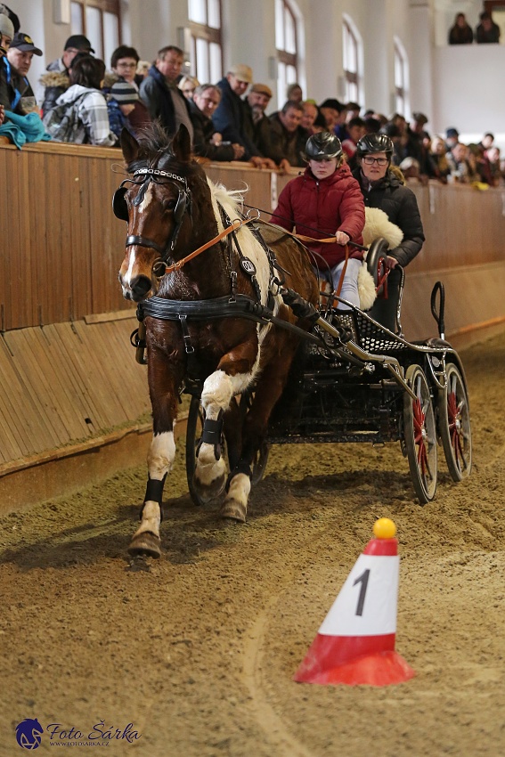 Brno 2019 - spřežení