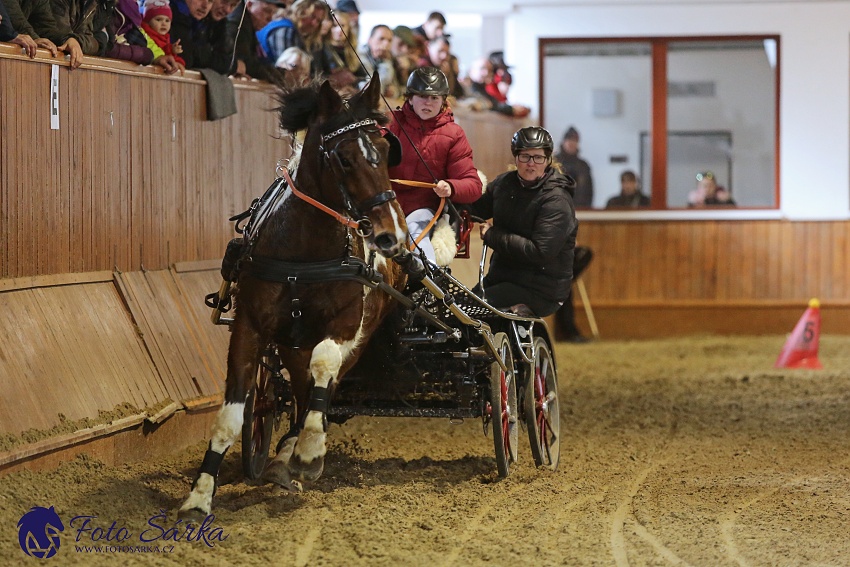 Brno 2019 - spřežení